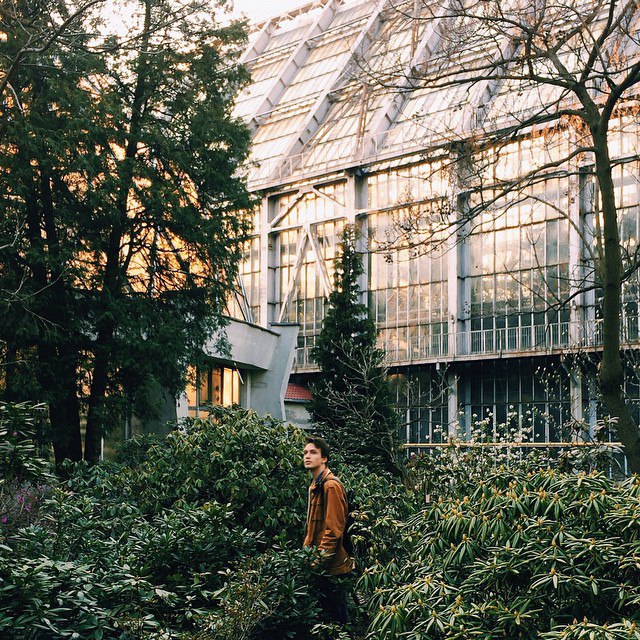 Heavenly Kyiv gardens for blossom-watchers