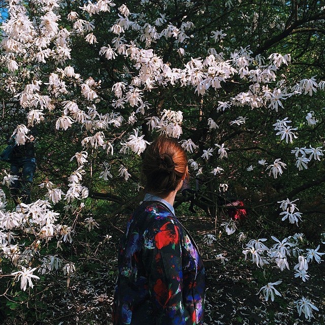 Heavenly Kyiv gardens for blossom-watchers